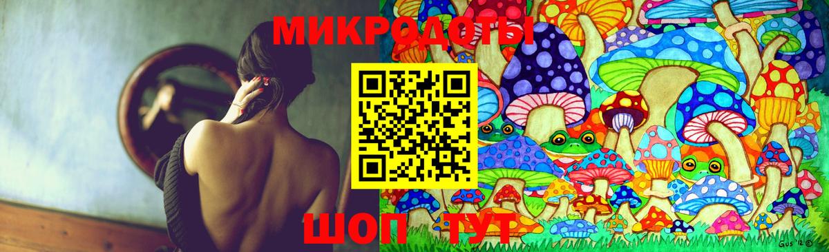 Димитровград  Галлюциногенные грибы ЛСД  Вход с VPN 